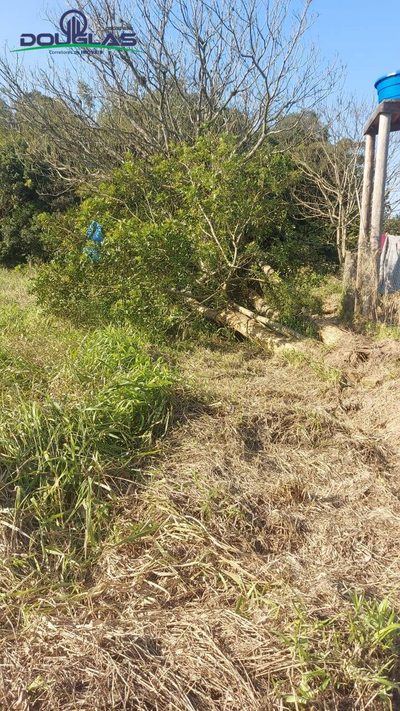 Terreno, 300 m² - Foto 1