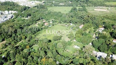 Sítio, 2 quartos, 12115 m² - Foto 4