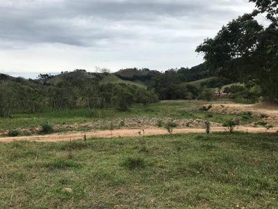 Terreno, 3 hectares - Foto 4