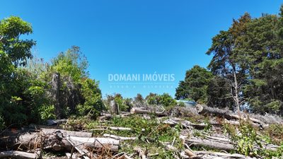 Terreno, 1170 m² - Foto 2
