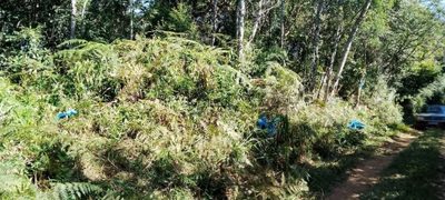Terreno - Foto 1