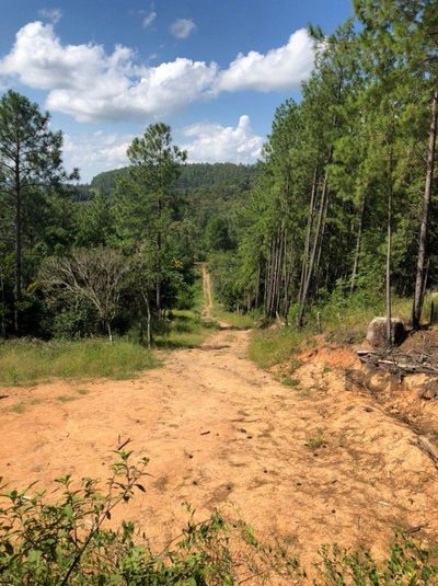 Terreno, 3399 m² - Foto 4