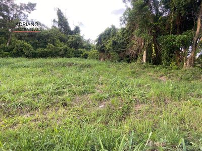 Terreno, 2500 m² - Foto 4