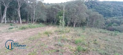 Terreno, 2540 m² - Foto 3