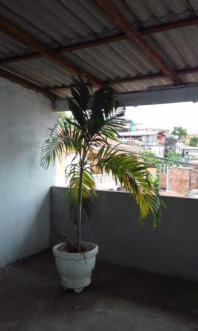 Casa, 4 quartos, 72 m² - Foto 2