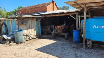 Sítio, 3 quartos, 250 m² - Foto 3