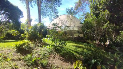 Terreno, 525 m² - Foto 5