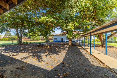 Terreno, 9004 m² - Foto 4