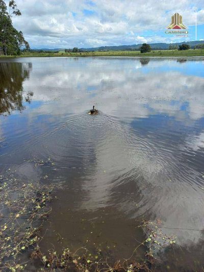 Chácara, 6 quartos, 60 hectares - Foto 3