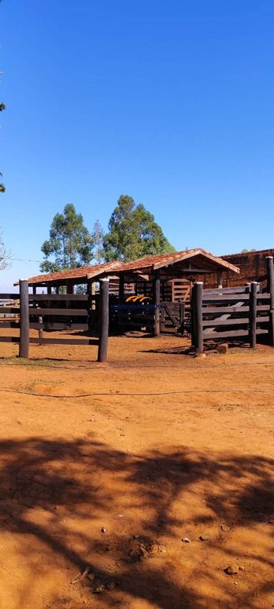 Fazenda, 289 hectares - Foto 3