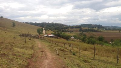 Sítio, 3 quartos, 25 hectares - Foto 1
