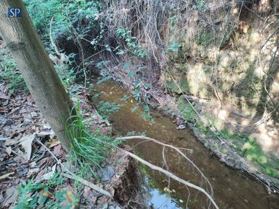 Terreno, 418 m² - Foto 4