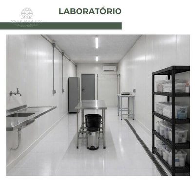 Prédio Inteiro - Foto 4