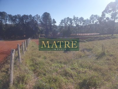 Terreno, 2700 m² - Foto 2