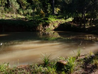 Chácara, 2 quartos, 2 hectares - Foto 1