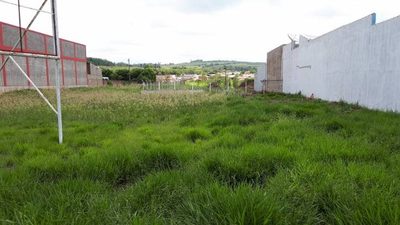 Terreno, 4200 m² - Foto 3