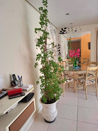 Apartamento, 2 quartos, 76 m² - Foto 3
