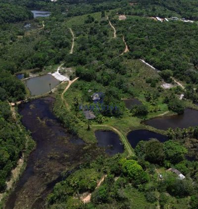 Terreno, 30 hectares - Foto 4