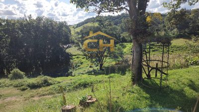 Sítio, 12 hectares - Foto 4