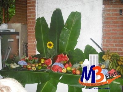 Sítio, 7 quartos, 2 hectares - Foto 4
