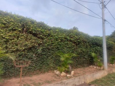 Chácara, 5 quartos, 2150 m² - Foto 3