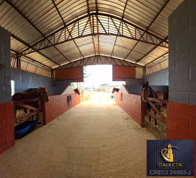 Sítio, 4 quartos, 3 hectares - Foto 4