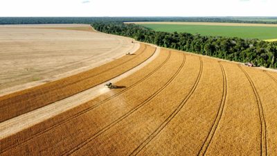Fazenda, 672 hectares - Foto 4
