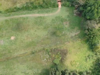 Terreno, 7 hectares - Foto 4