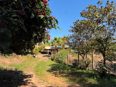 Loteamento e Condomínio, 10000 m² - Foto 4