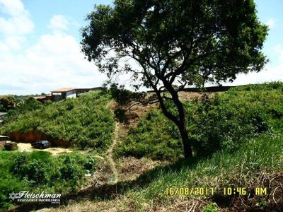 Terreno, 6600 m² - Foto 2
