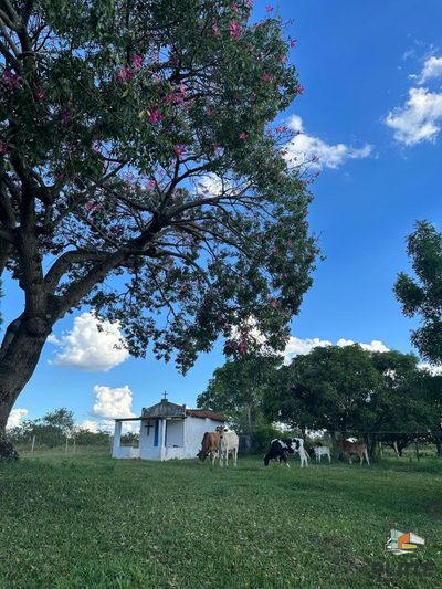 Fazenda, 2 hectares - Foto 2