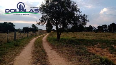 Sítio, 3 quartos - Foto 1