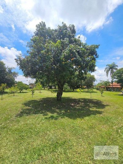 Fazenda, 2 hectares - Foto 4