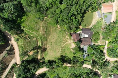 Chácara, 5 quartos, 2 hectares - Foto 4