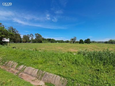 Terreno, 6 hectares - Foto 4