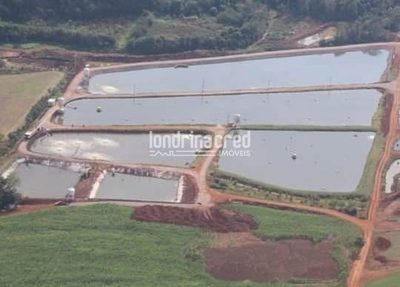 Sítio, 1 quarto, 10 m² - Foto 3