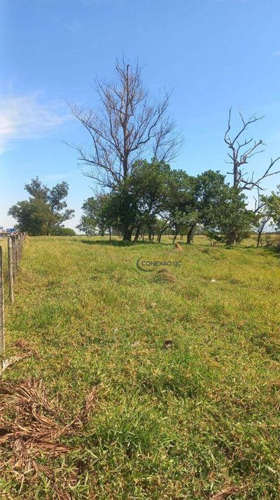 Terreno, 50 hectares - Foto 3