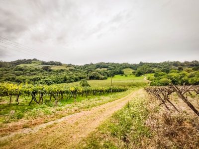 Terreno, 1040000 hectares - Foto 4