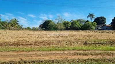 Chácara, 2500 m² - Foto 3