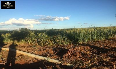 Fazenda, 1 hectares - Foto 1