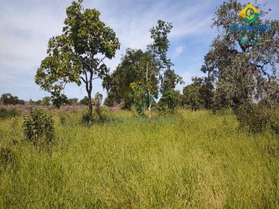 Fazenda, 3 quartos - Foto 1