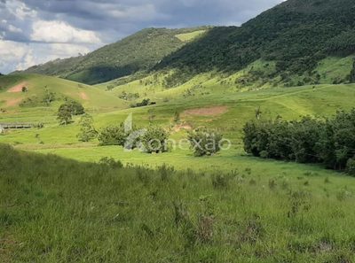 Fazenda, 400 m² - Foto 2