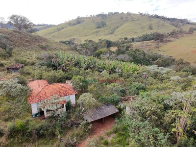 Fazenda, 59 hectares - Foto 3