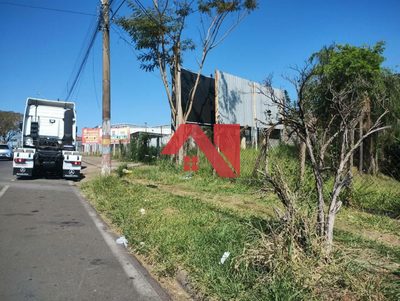 Terreno, 2 hectares - Foto 4