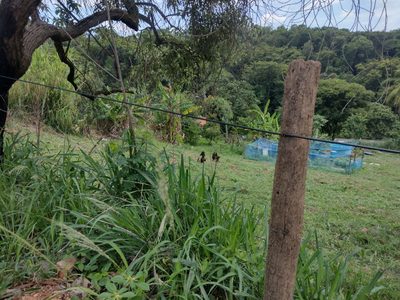 Terreno, 450 m² - Foto 3