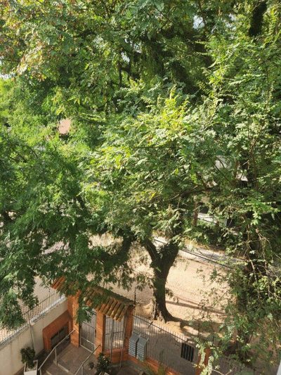 Apartamento, 2 quartos, 66 m² - Foto 4