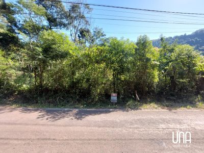 Terreno, 62 hectares - Foto 2
