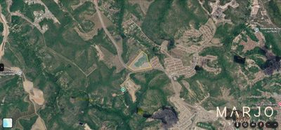 Terreno, 7 hectares - Foto 4