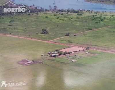 Casa, 4 quartos, 29 m² - Foto 4