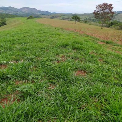 Fazenda, 40 m² - Foto 4